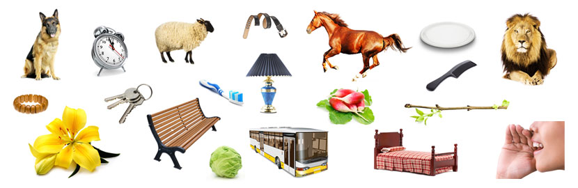 2000 самых употребляемых слов английского языка